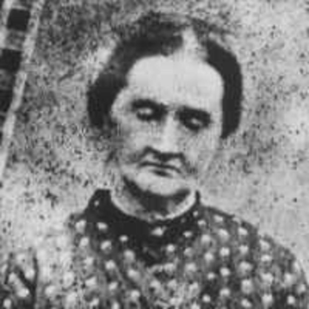 Ada Clements (1839 - 1877) Profile